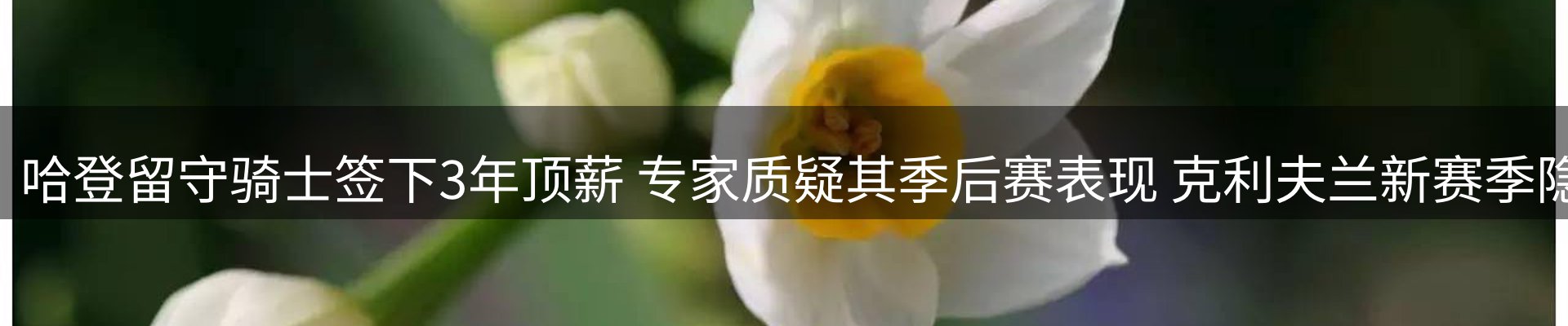 新闻前沿